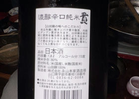 alt 3