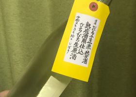 alt 1