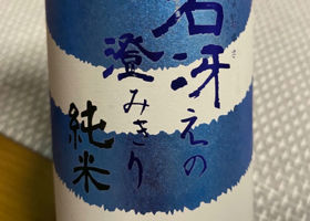 alt 1