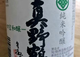 alt 1