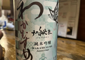 Wakamusume Check-in 1