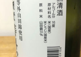 alt 3