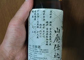 alt 2