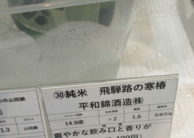 alt 2