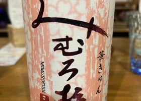 alt 1