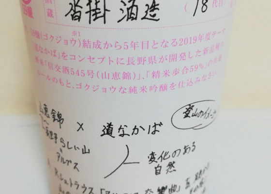 alt 1