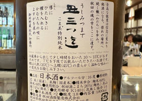alt 2