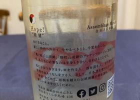alt 1