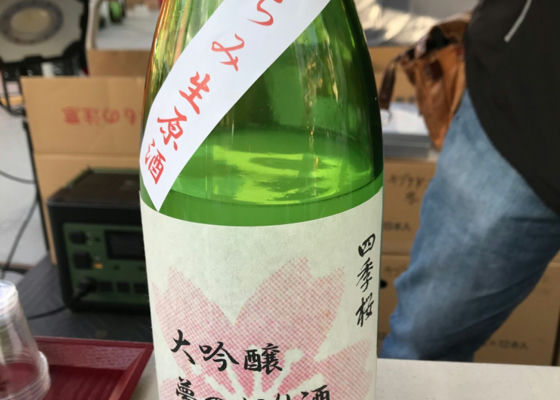 四季桜