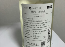 alt 2