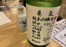 alt 1