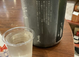 alt 3