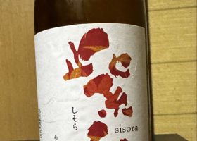紫宙 チェックイン 1