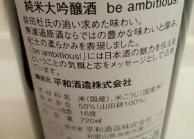 alt 3
