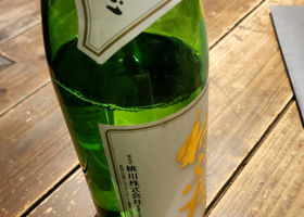 alt 2