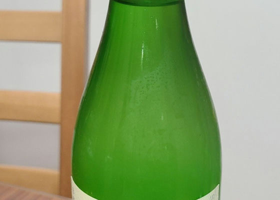 alt 1