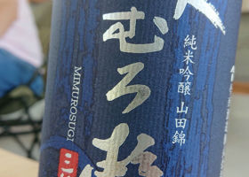 alt 1
