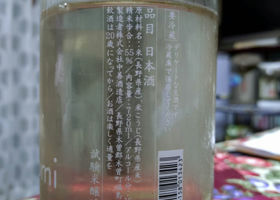 alt 1