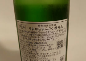 alt 3