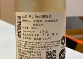 alt 2