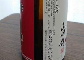 alt 3