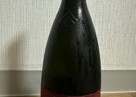 alt 1