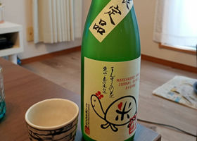 alt 1