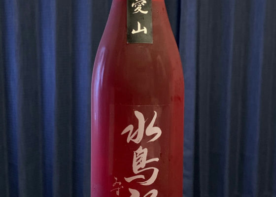 alt 1