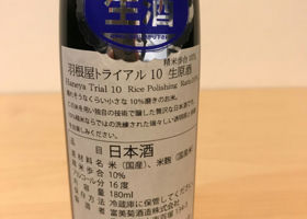 alt 3
