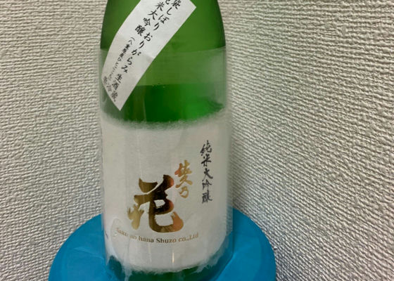 alt 1