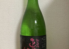 alt 1