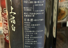 alt 3