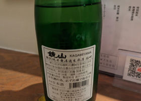 alt 3