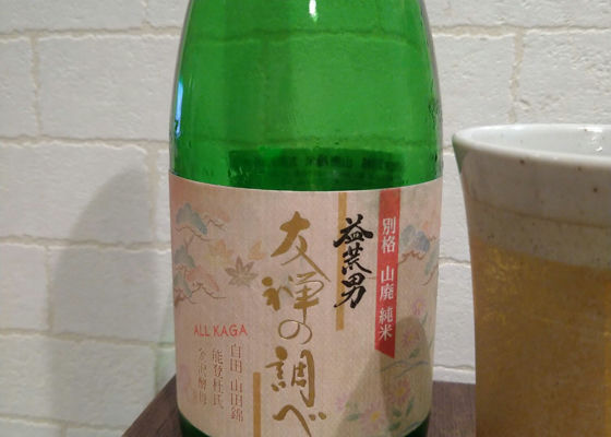 alt 1