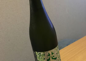 alt 3