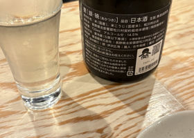 alt 3