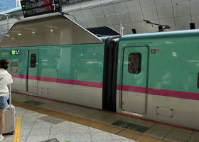 alt 2
