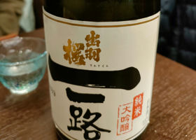 alt 1