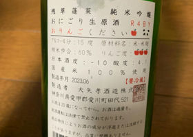 alt 3