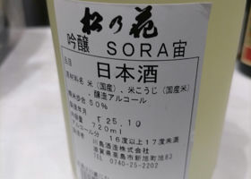 alt 3