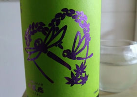 alt 1