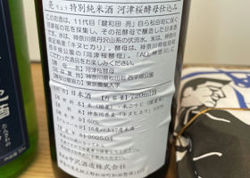 alt 3