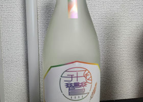 alt 1