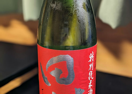 alt 1