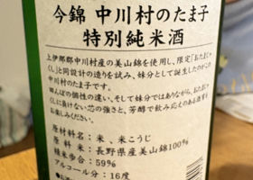 alt 1