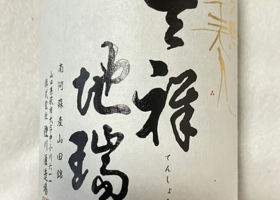 alt 1