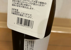 alt 3