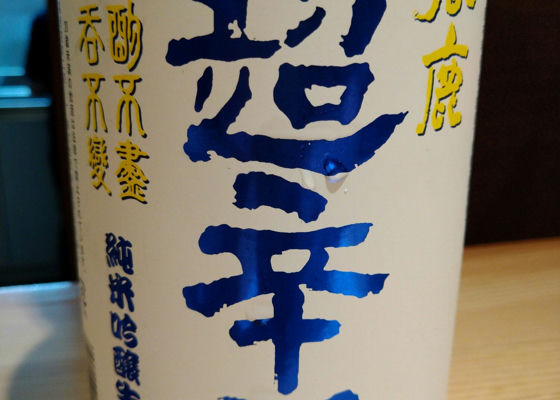 alt 1