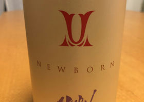 alt 1