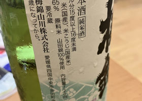 alt 2